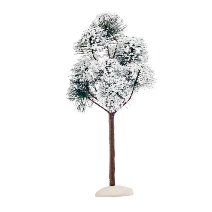 Luville Bjergpinje 23 cm høj