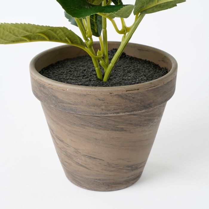 Hortensia hvid 40 cm høj