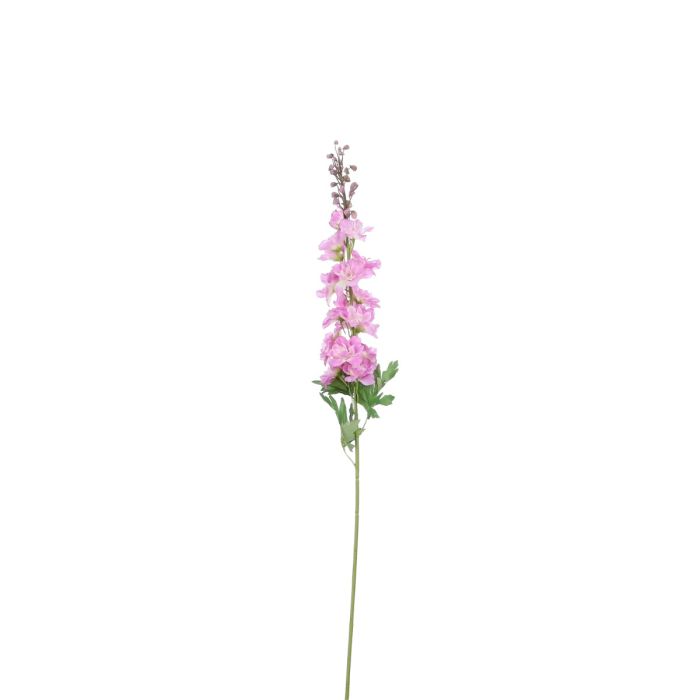 Ridderspore lilla