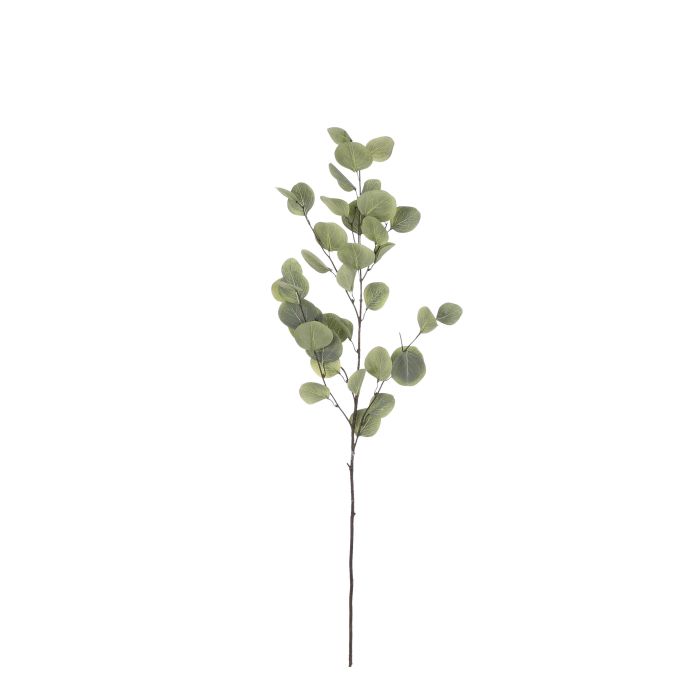 Eucalyptus grøn