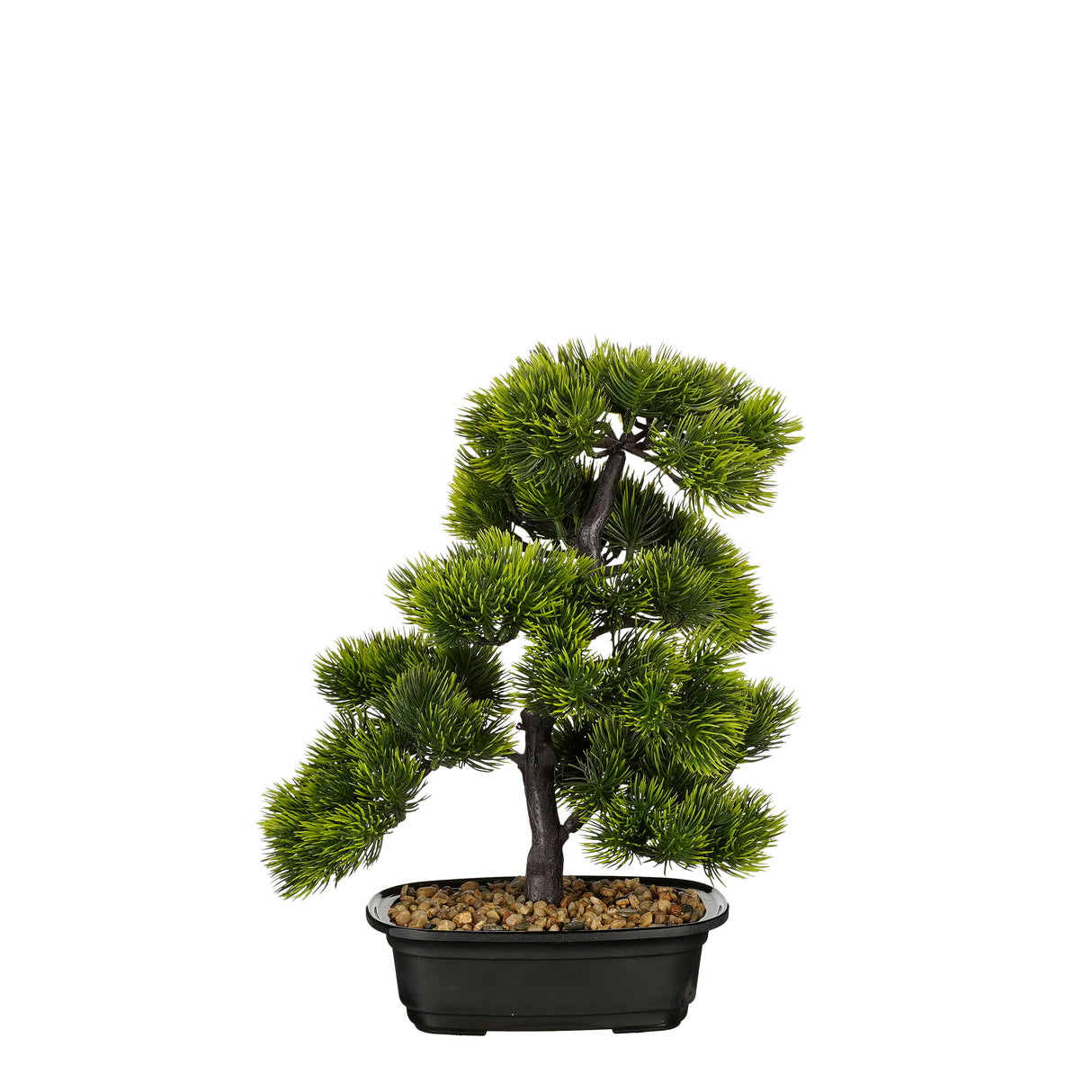 Bonsai træ 33 cm højt