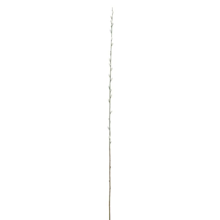 Pilegren med gæslinger 98 cm lang