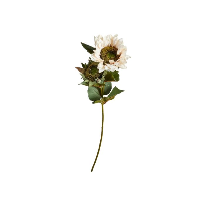 Solsikke stilk støvet rosa