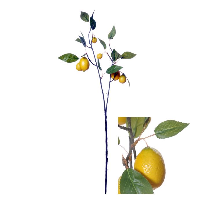 Citrongren 75 cm lang