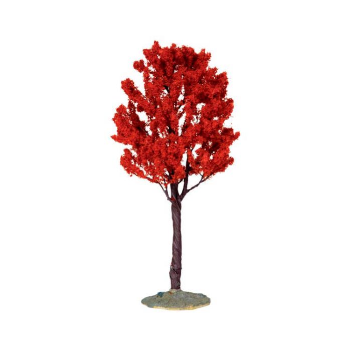 Baldcypress Tree Large