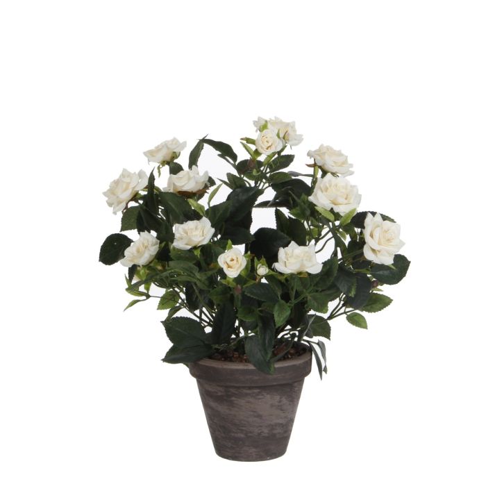 Rose hvid 33 cm høj