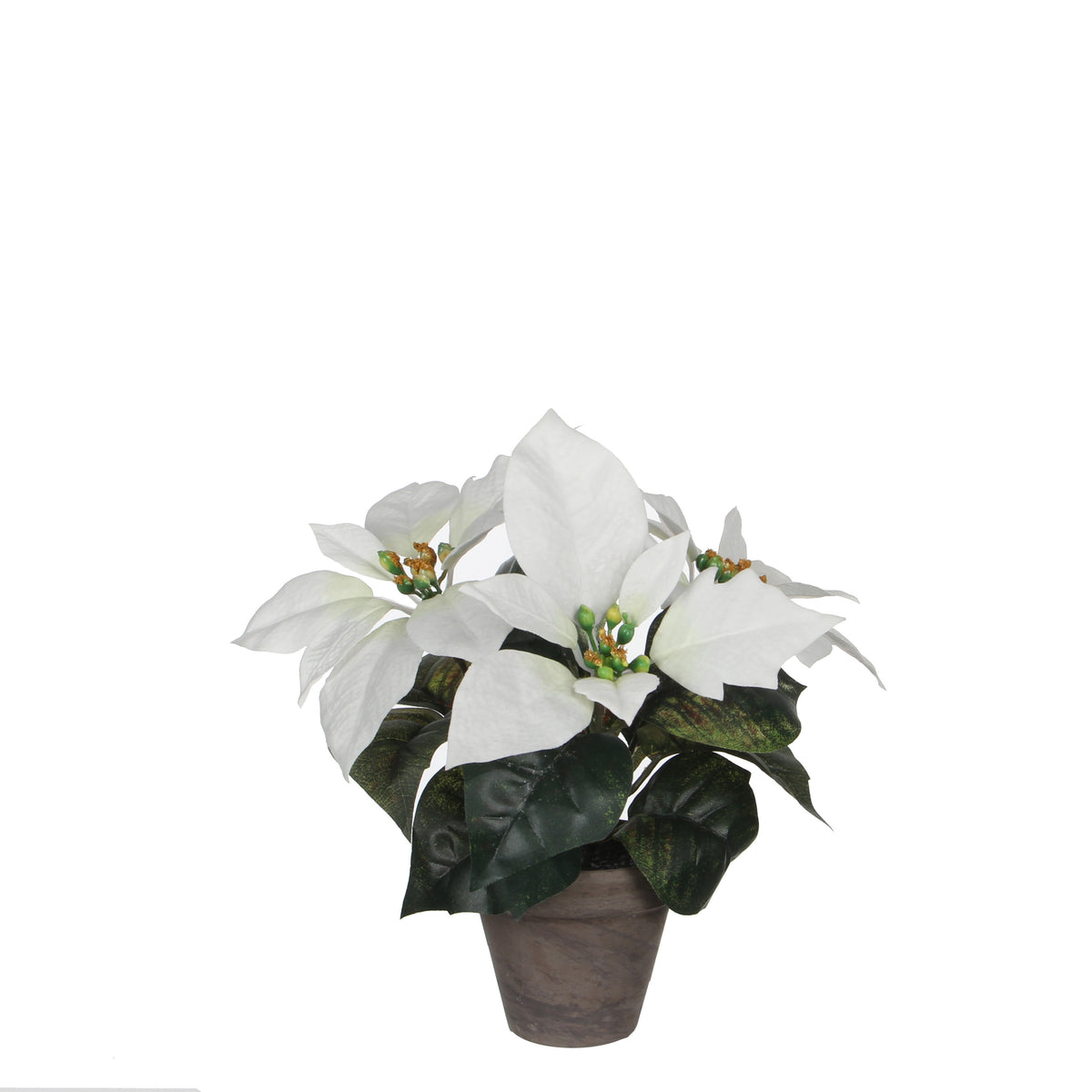 Hvid julestjerne 25 cm høj