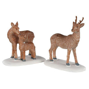 Deer Family