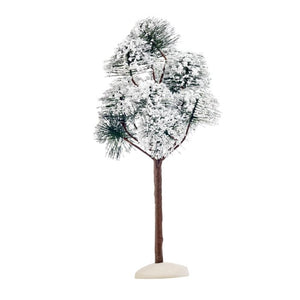 Luville Bjergpinje 23 cm høj