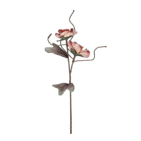 Magnolia laksefarvet