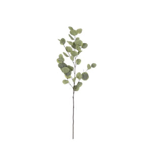 Eucalyptus grøn