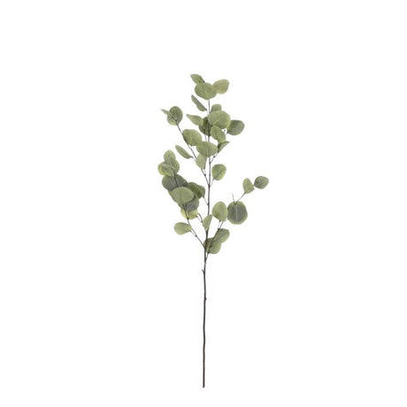 Eucalyptus grøn