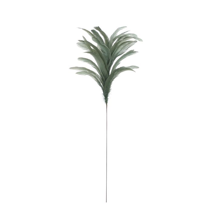 Fjer grøn 80 cm lang