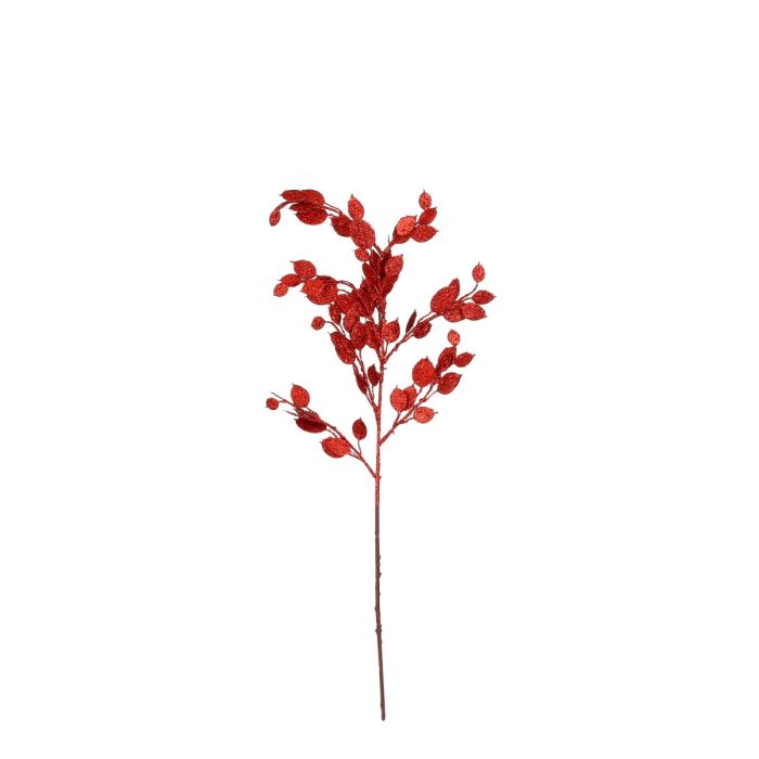 Money plant gren red