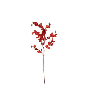 Money plant gren red