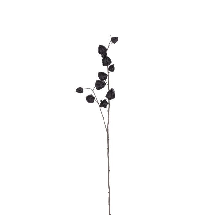 Kinesiske lamper 74 cm lang sort