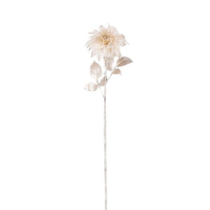 Krysantemum creme med glimmer