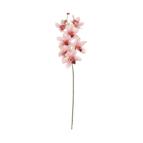 Vanda orkidéstilk fra Mica Decorations