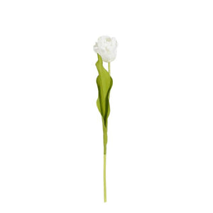 Tulipan 50 cm lang creme