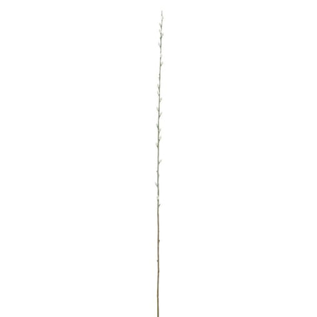 Pilegren med gæslinger 98 cm lang