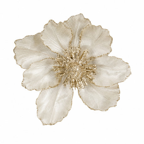 Magnoliablomst på klips