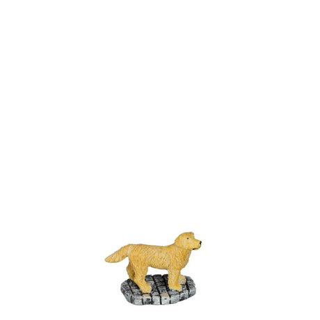 Luville Golden retriever