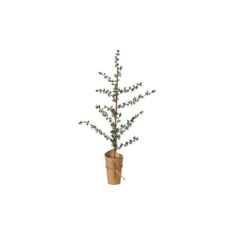 Lærketræ i papirspotte 75 cm højt