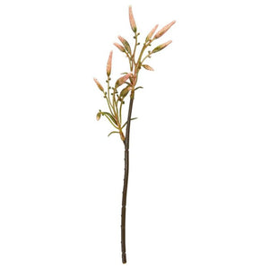 Peberstængel rosa blomsterstilk