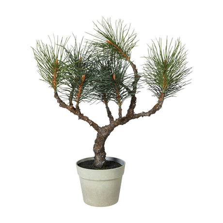 Kunstig silkefuru i potte, 60 cm høy, fra speedtsberg