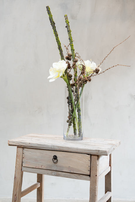 Sylinderglassvase med amaryllis, konglegrener og mosegrener