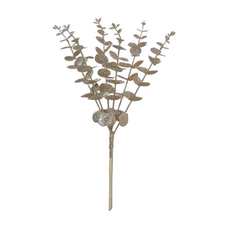 Eucalyptus guldfarvet gren 40 cm høj