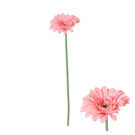 Gerbera blomsterstilk lyserød 55 cm