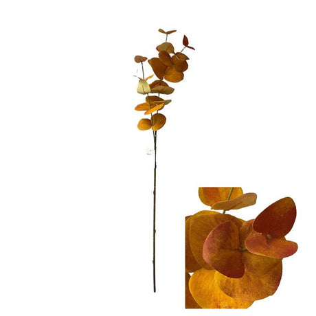 Eukalyptus rust