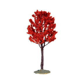 Baldcypress Tree Large