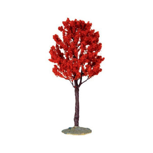 Baldcypress Tree Large