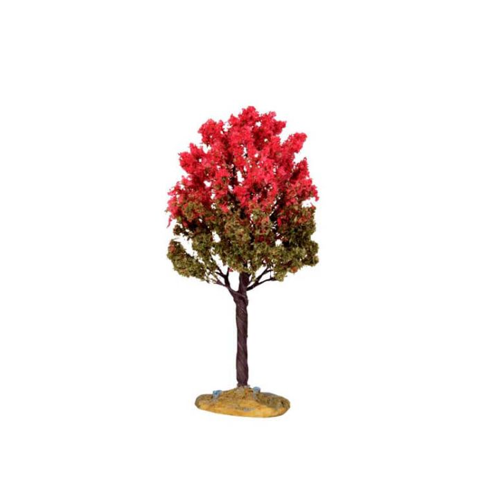 Black Tupelo Tree Medium