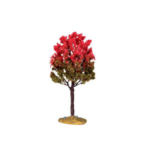 Black Tupelo Tree Medium