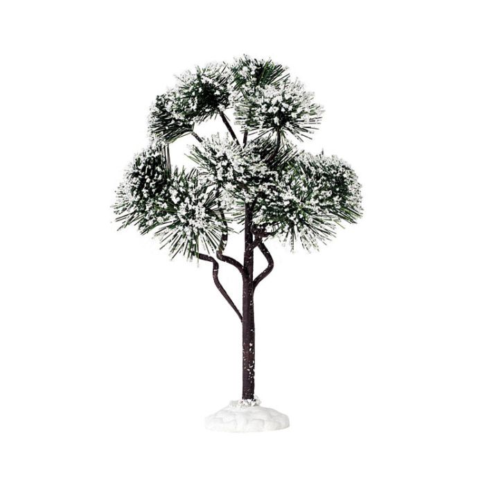 Mountain Pine Large
