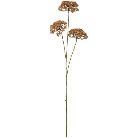 Blomsterstilk med 3 brune skærmblomster fra Ib Laursen