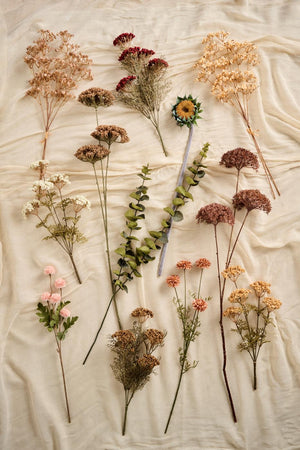 Udvalget af kunstige blomsterstilke fra Ib Laursens efterårskollektion