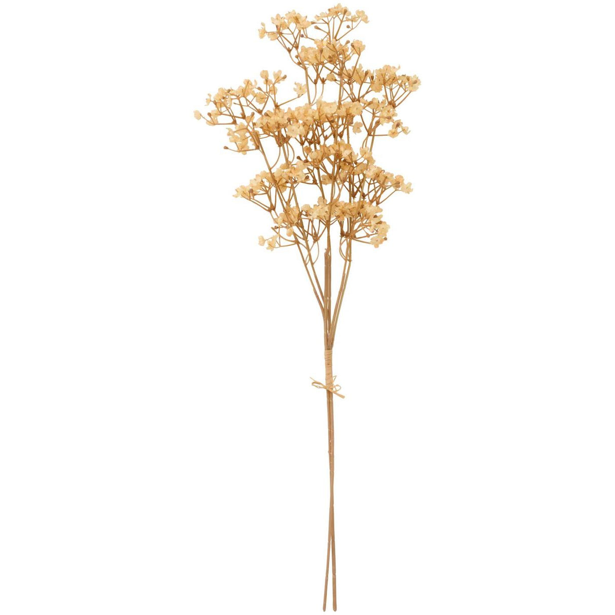 Blomsterstilk i butter cream nuance fra Ib Laursen