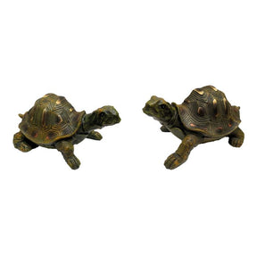 Skildpadde 18 cm lang med flotte optegnet skjold