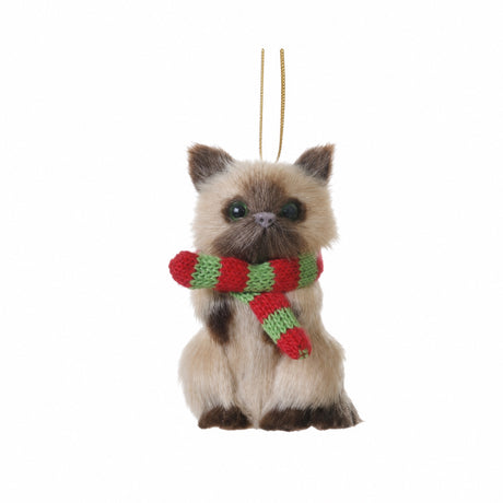 Katt med skjerf