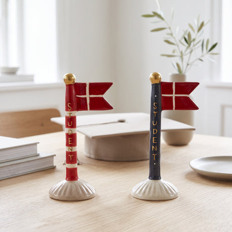 Studentflagg 14 cm høyt