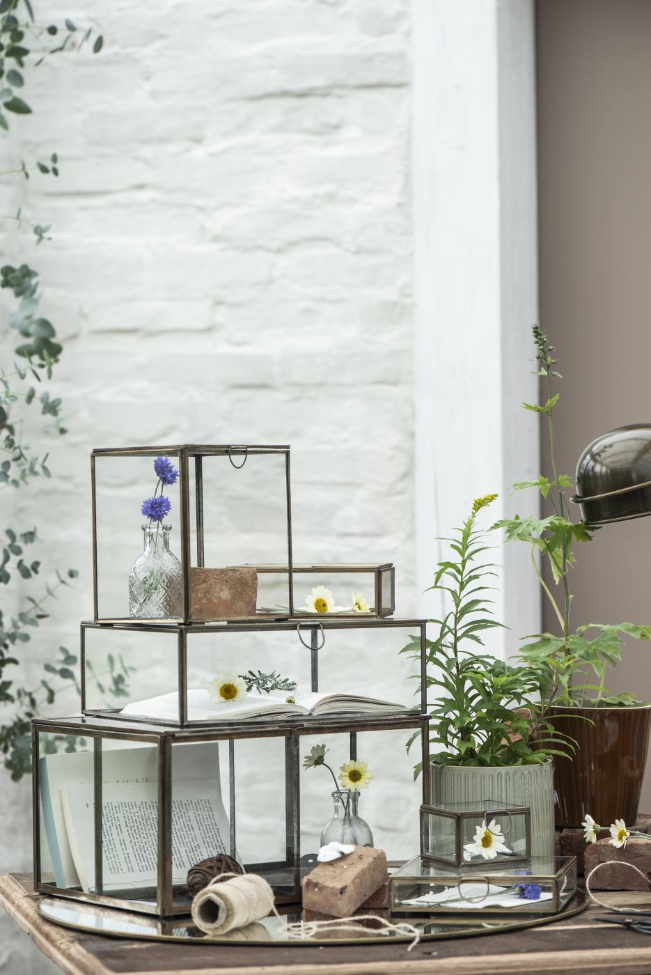 Solitaire glassboks fra Ib Laursen som dekorativ oppbevaring på en hylle med planter og annet interiør