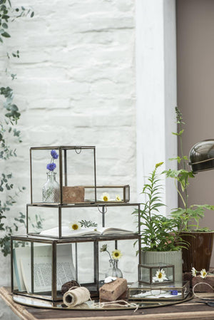 Solitaire glassboks fra Ib Laursen som dekorativ oppbevaring på en hylle med planter og annet interiør