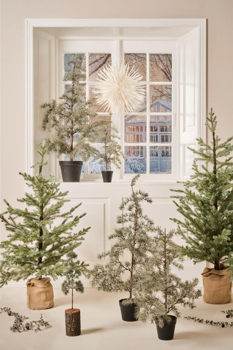 Kunstige sedertre fra Ib Laursen som naturlig julepynt ved et lyst vindu